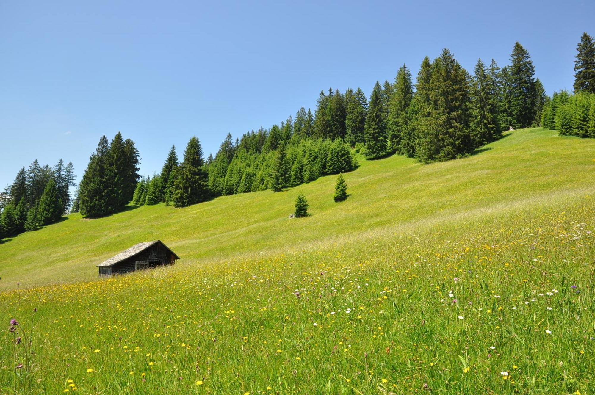 Landhaus Alpensonne Schattwald Eksteriør bilde